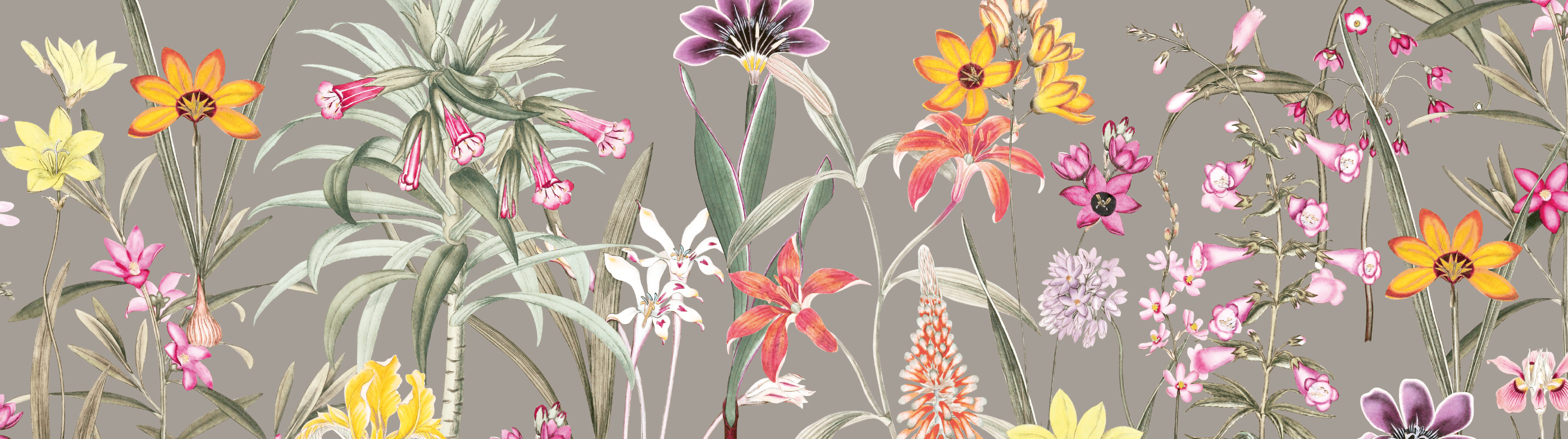 Blüten Bordüre selbstklebend mit Natur Design – Creme, Beige