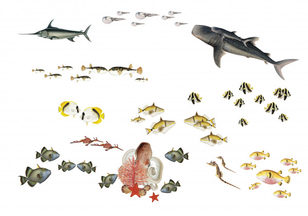 anna wand MeeretiereSticker wandsticker wandtattoos fische wahlhai hai korallen seepferdchen junge mädchen kinderzimmer.